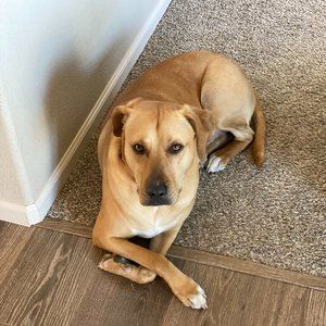 Meet your Posher, Tara